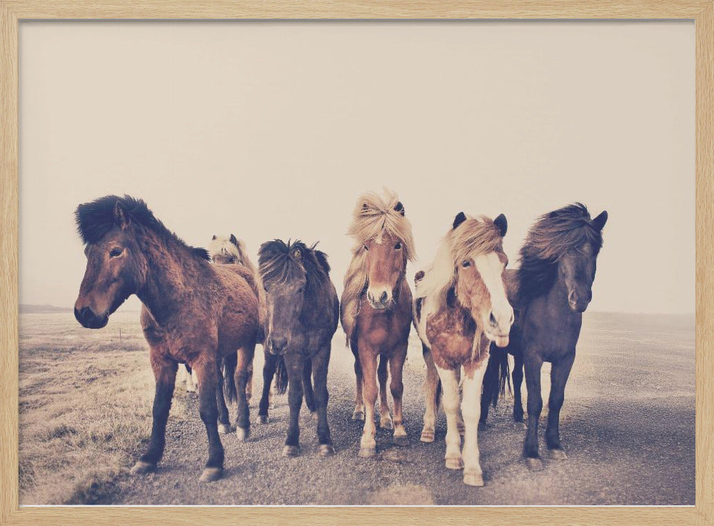 Horses | Poster