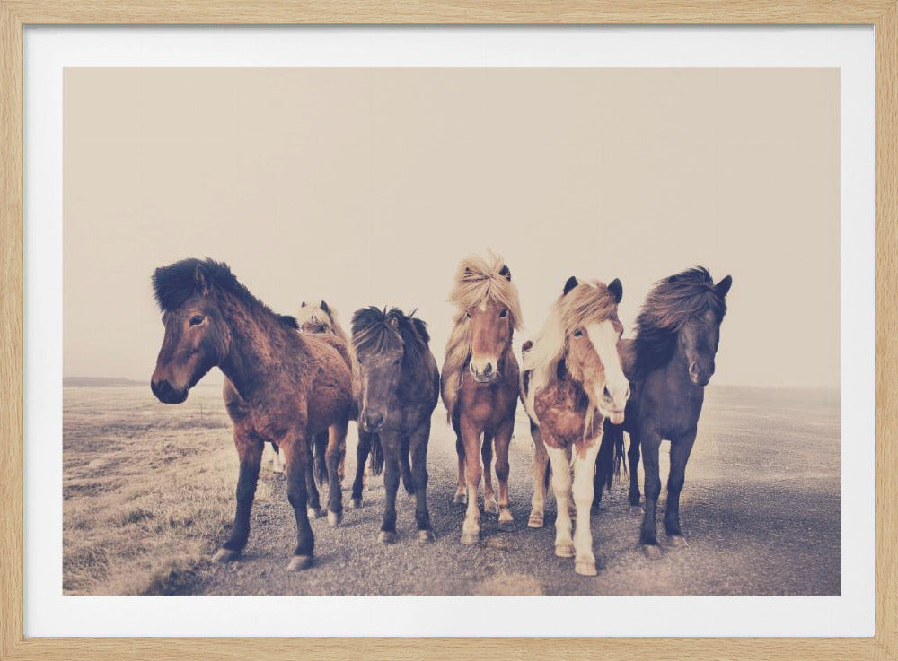 Horses | Poster
