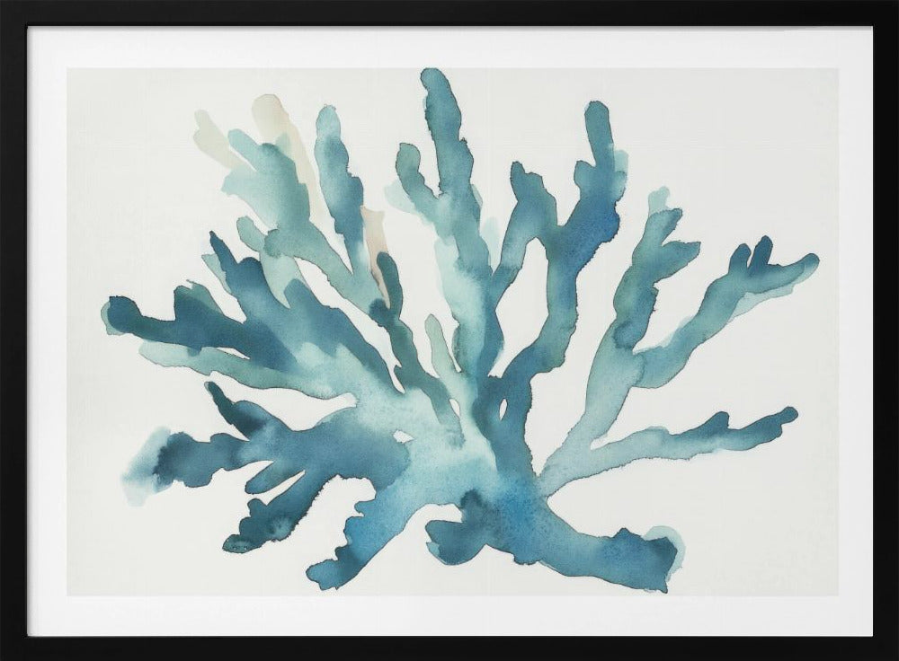 Turqoiuse Coral | Poster