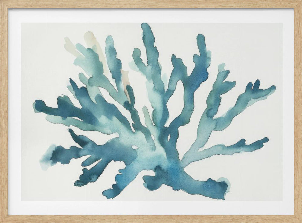 Turqoiuse Coral | Poster
