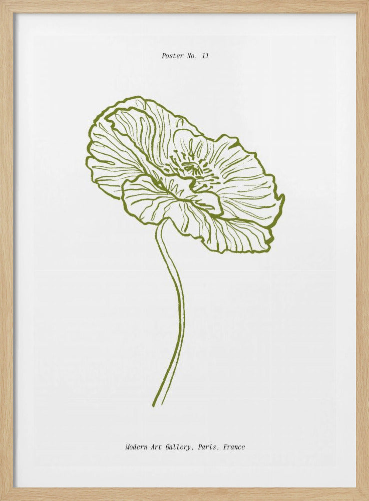 Pale Poppy Sketch | Poster