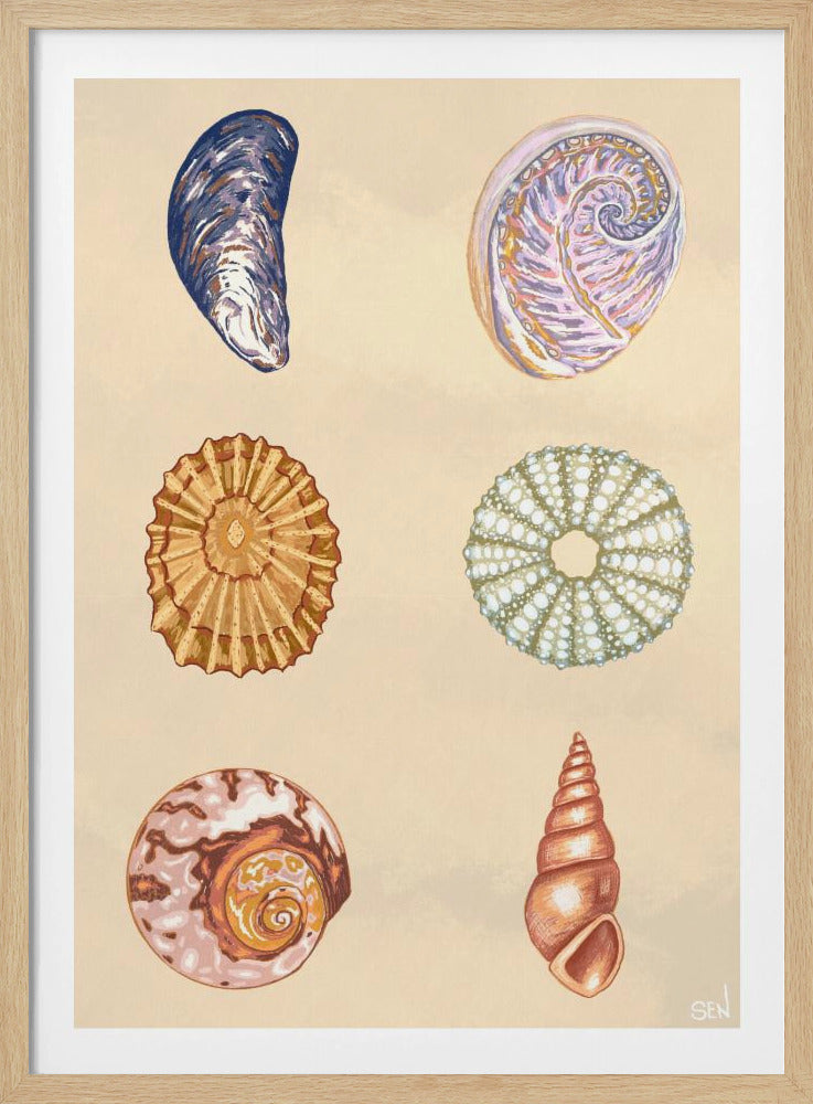 Treasures of the Tide | Poster