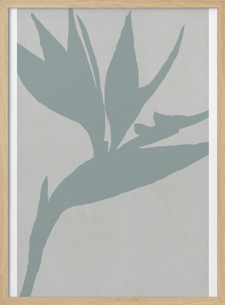 Bird of Paradise | Poster