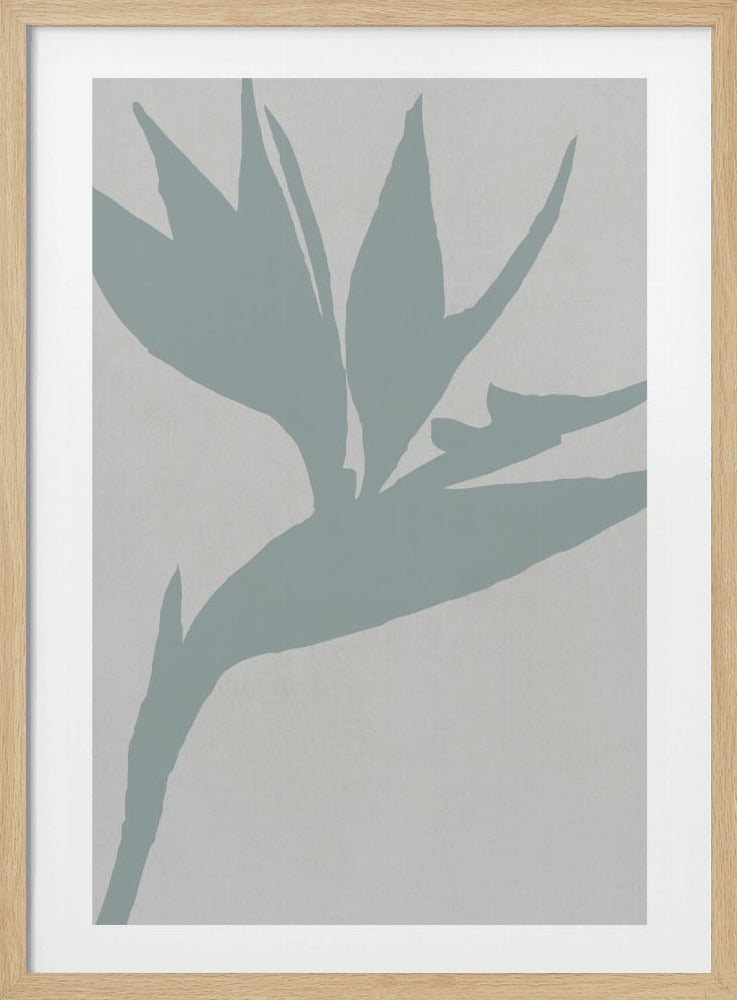 Bird of Paradise | Poster
