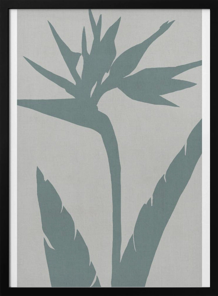 Bird of Paradise | Poster