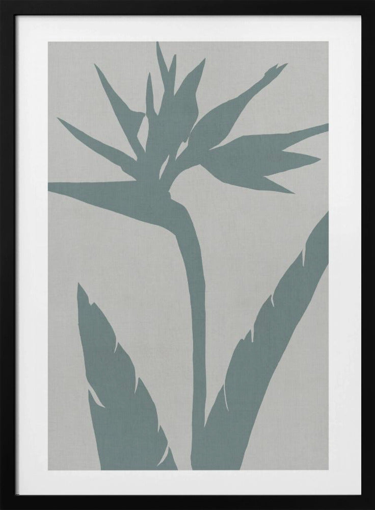 Bird of Paradise | Poster