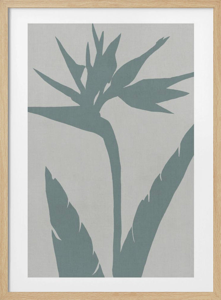 Bird of Paradise | Poster