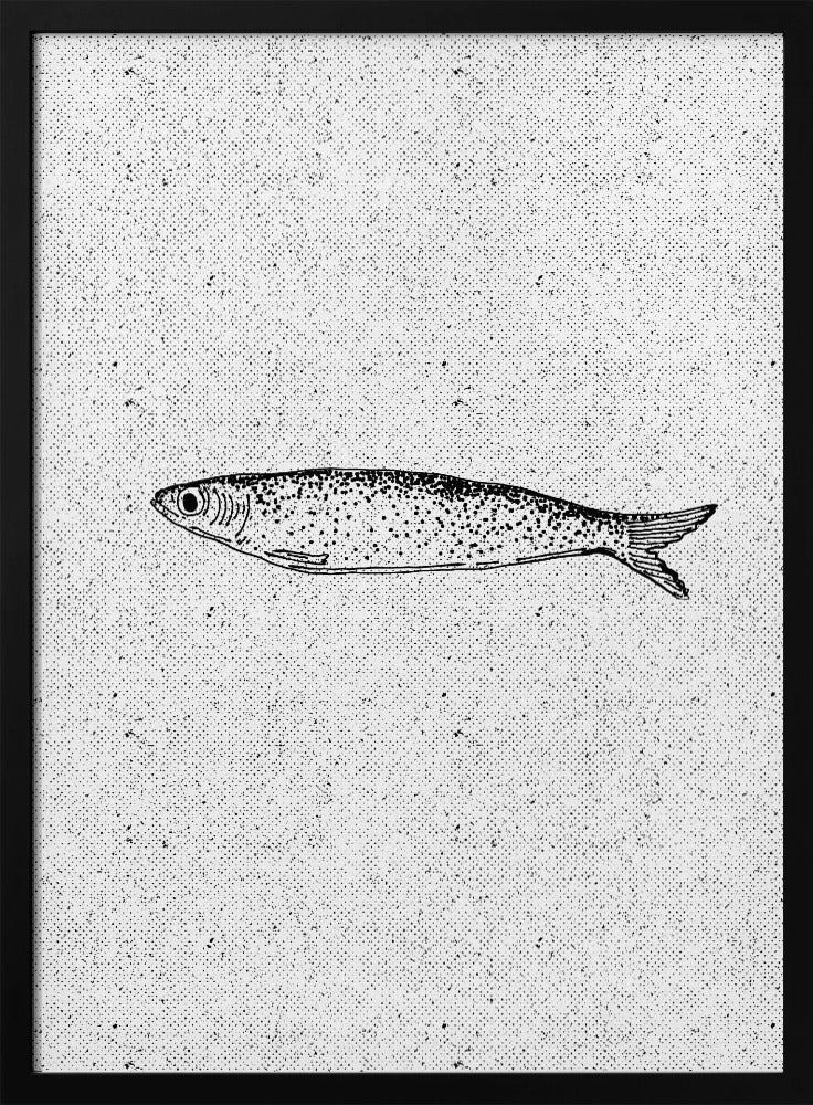 Vintage Fish Illustration | Poster
