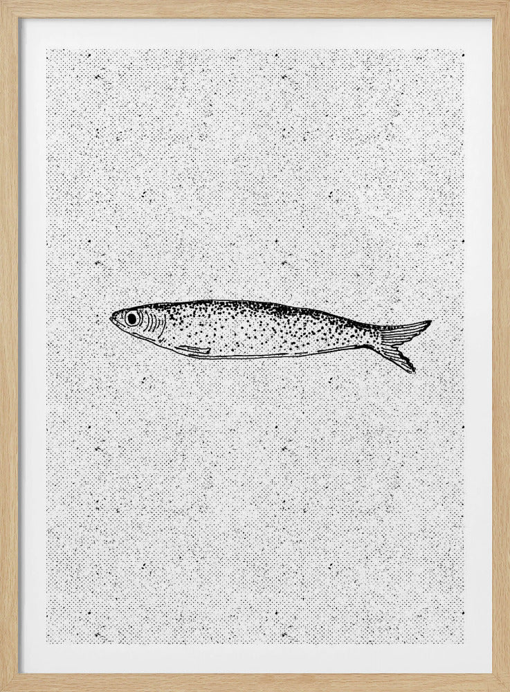Vintage Fish Illustration | Poster