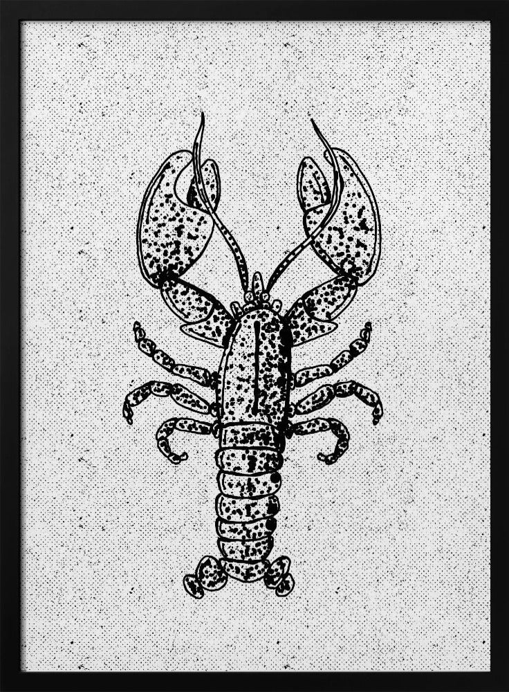 Lobster Ink Print | Poster