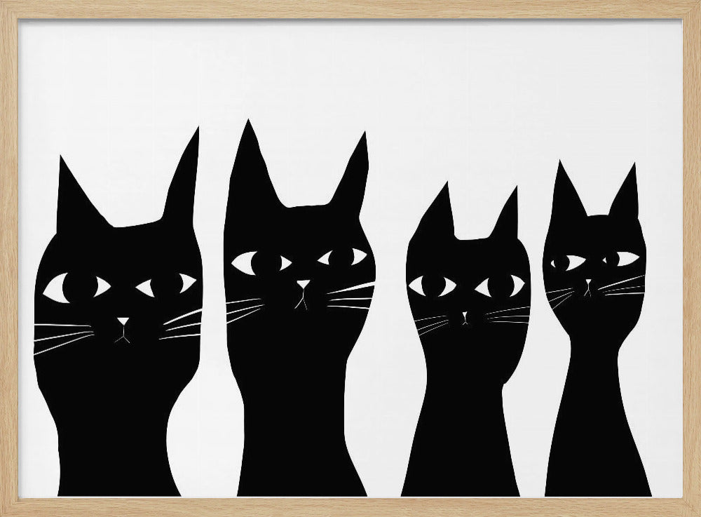 Four black cats | Poster