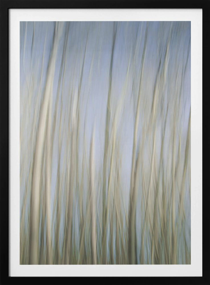 Whispering Trees | Poster