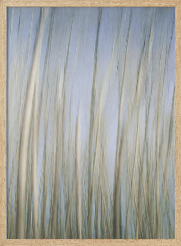 Whispering Trees | Poster