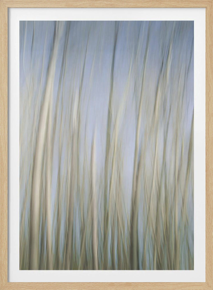 Whispering Trees | Poster