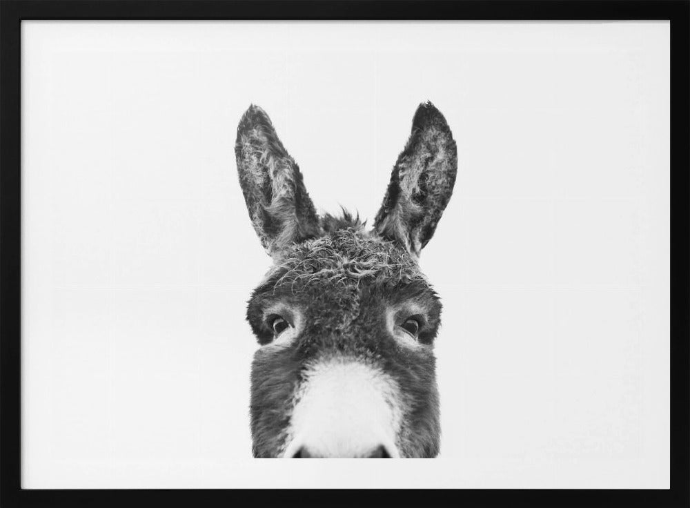 Peeking Donkey BW | Poster