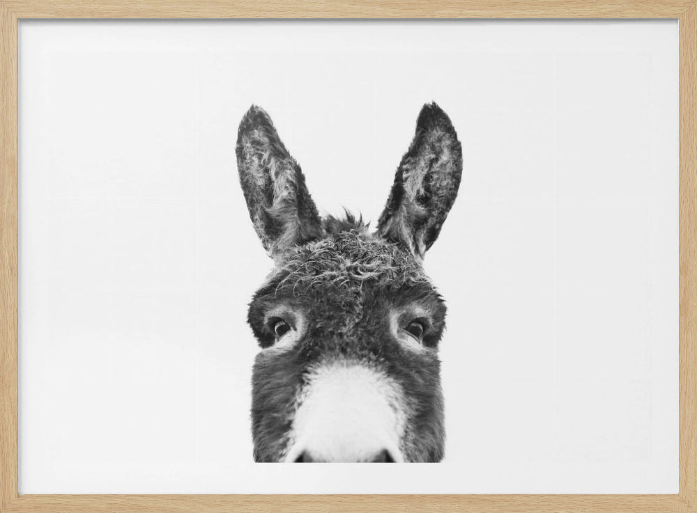 Peeking Donkey BW | Poster