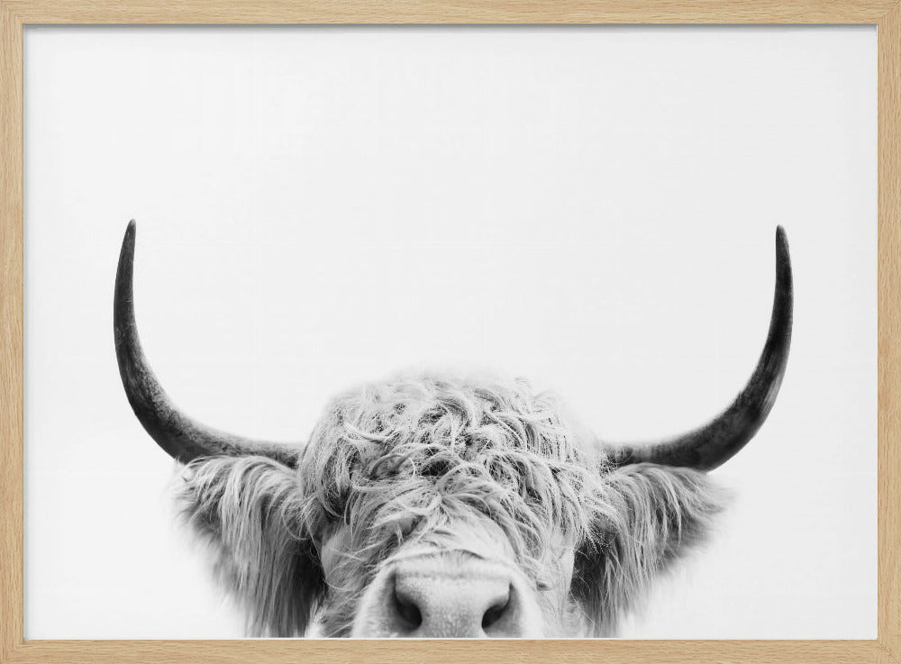 Peeking Cow BW | Poster