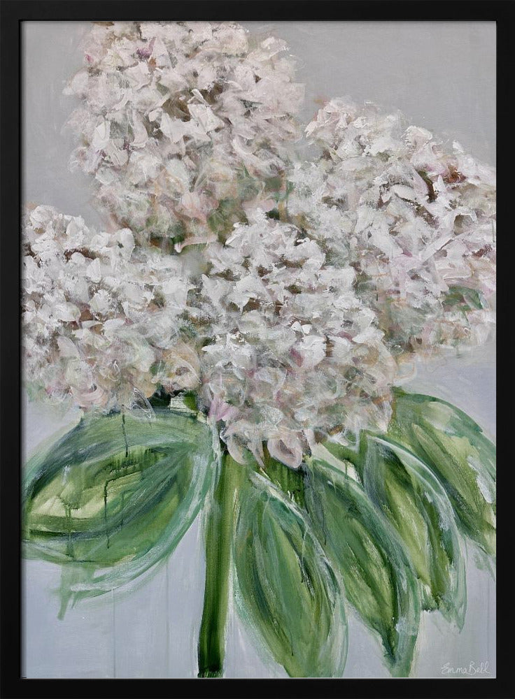 White Hydrangea Bloom | Poster