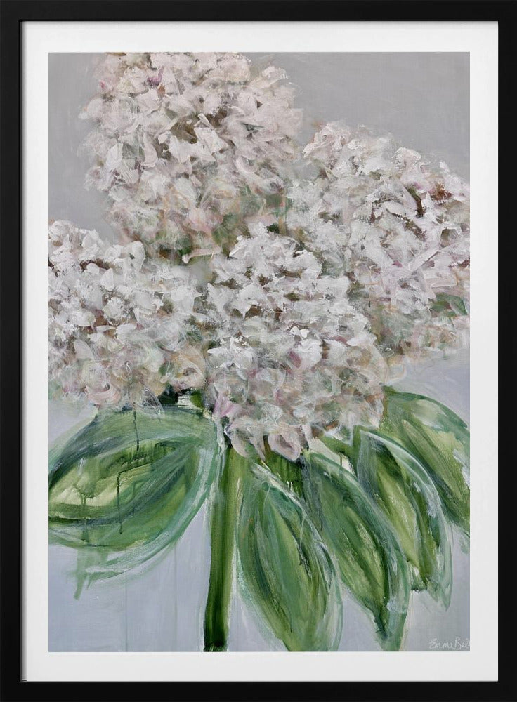 White Hydrangea Bloom | Poster