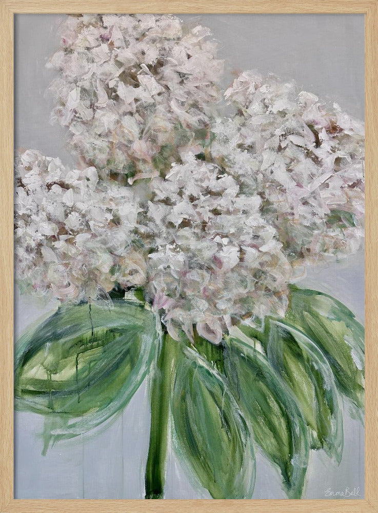 White Hydrangea Bloom | Poster