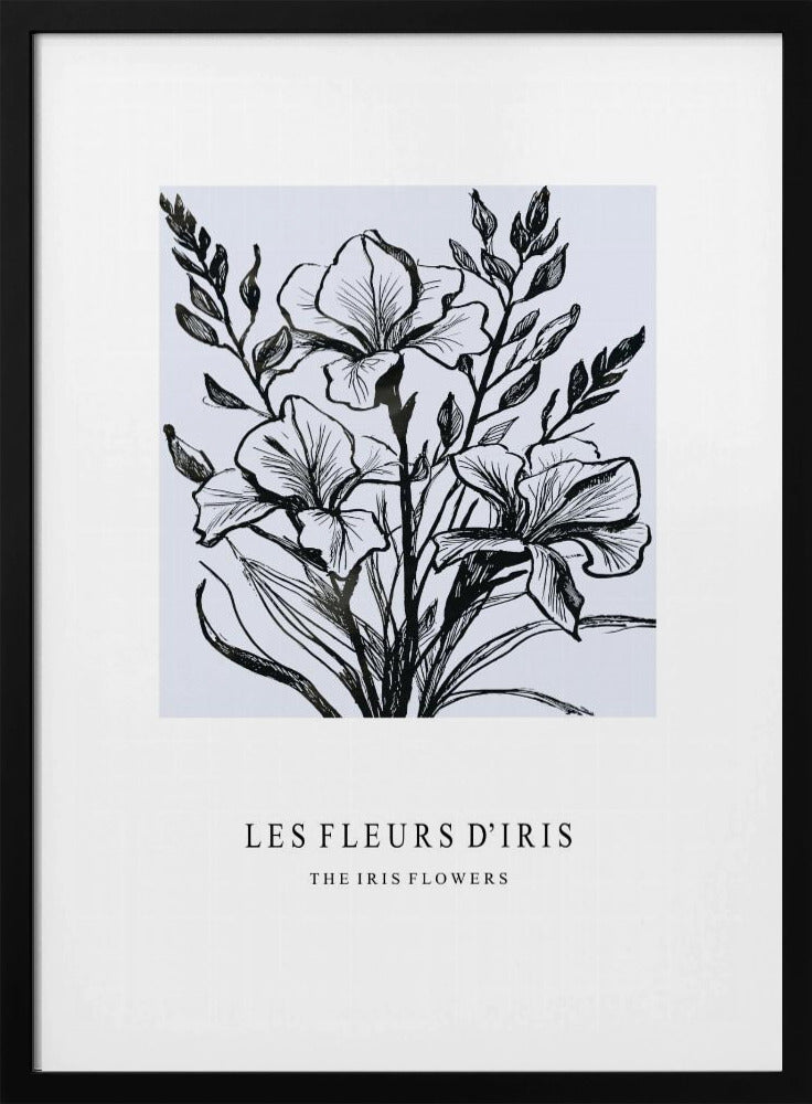Iris Flowers In A Monochrome Illustration | Poster