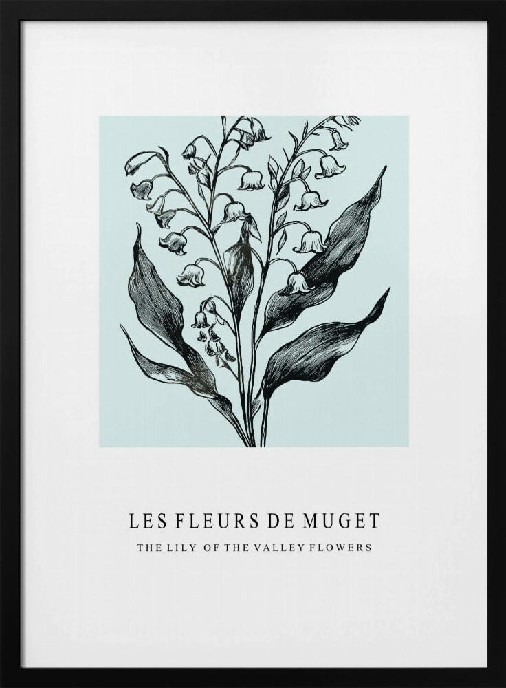 Lily of the Valley Flowers In A Monochrome Illustration | Poster