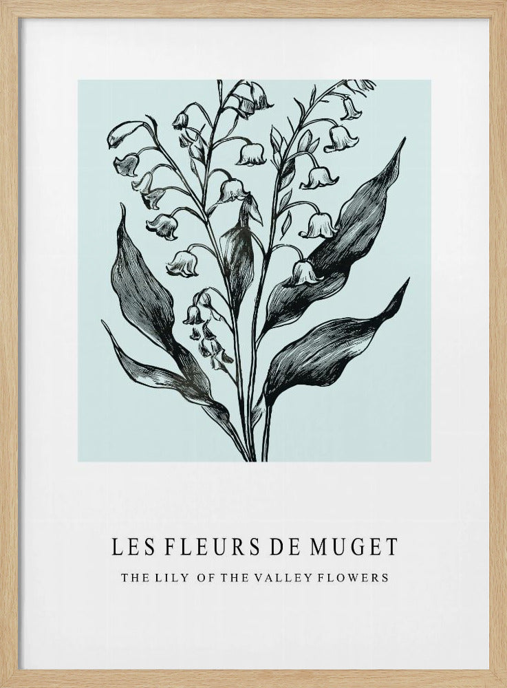 Lily of the Valley Flowers In A Monochrome Illustration | Poster