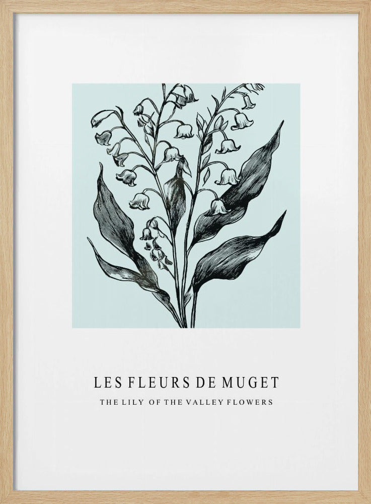 Lily of the Valley Flowers In A Monochrome Illustration | Poster
