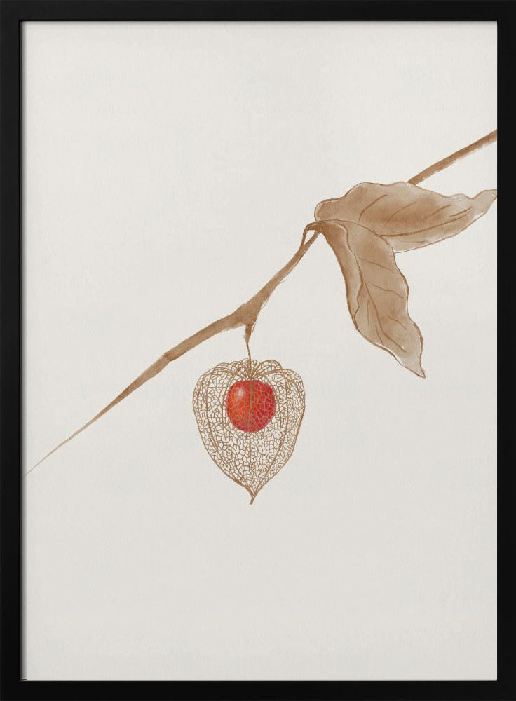 Groundcherry | Poster