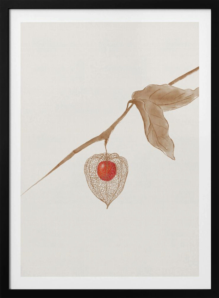 Groundcherry | Poster