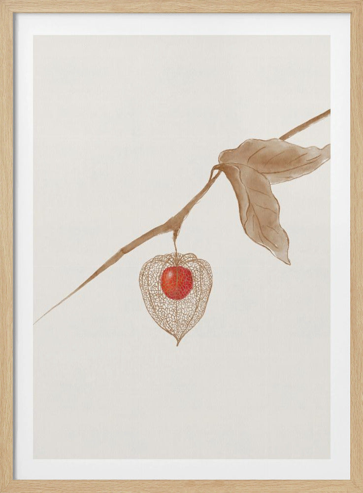 Groundcherry | Poster