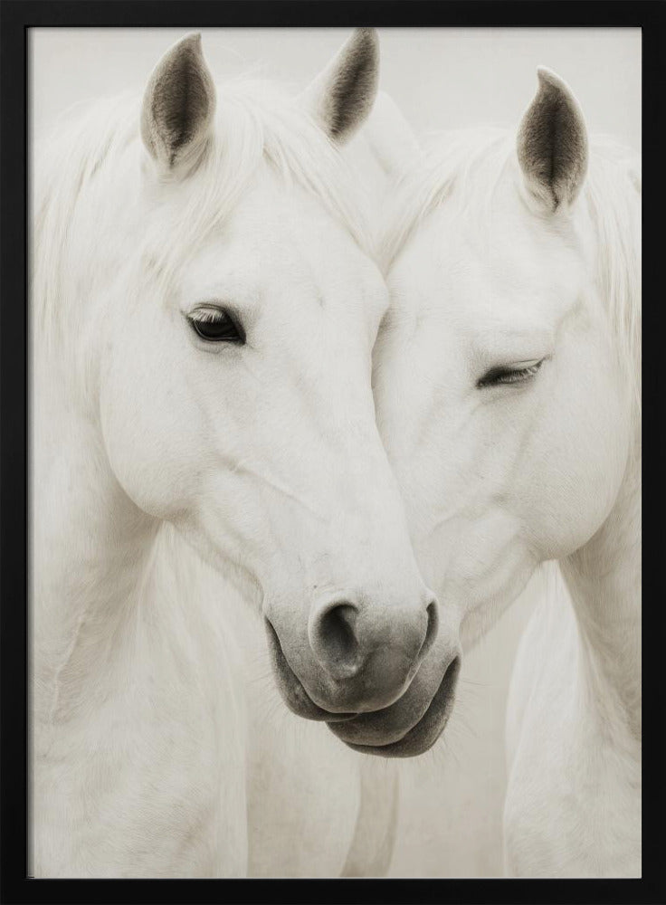 Equine Embrace | Poster