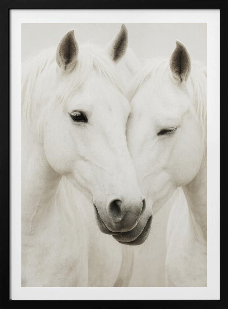 Equine Embrace | Poster