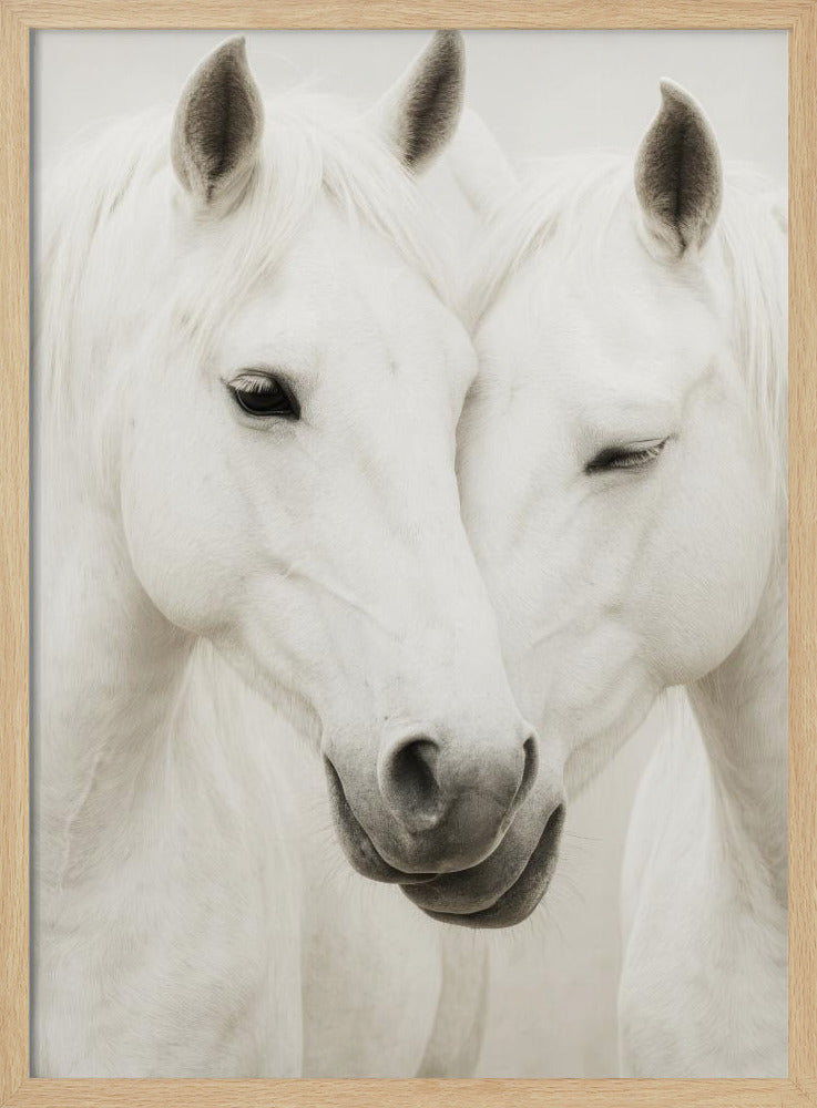 Equine Embrace | Poster