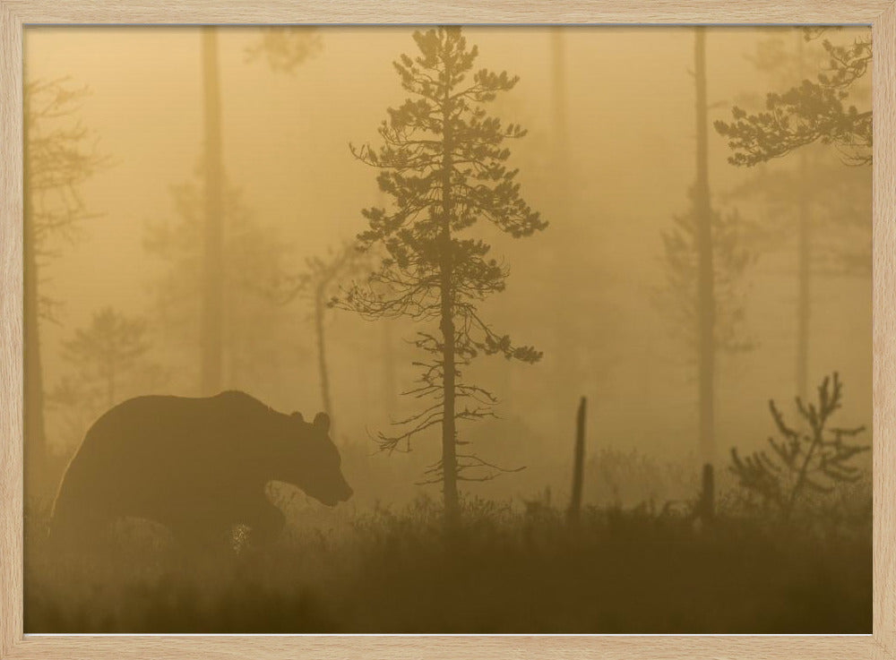 Morning Fog | Poster