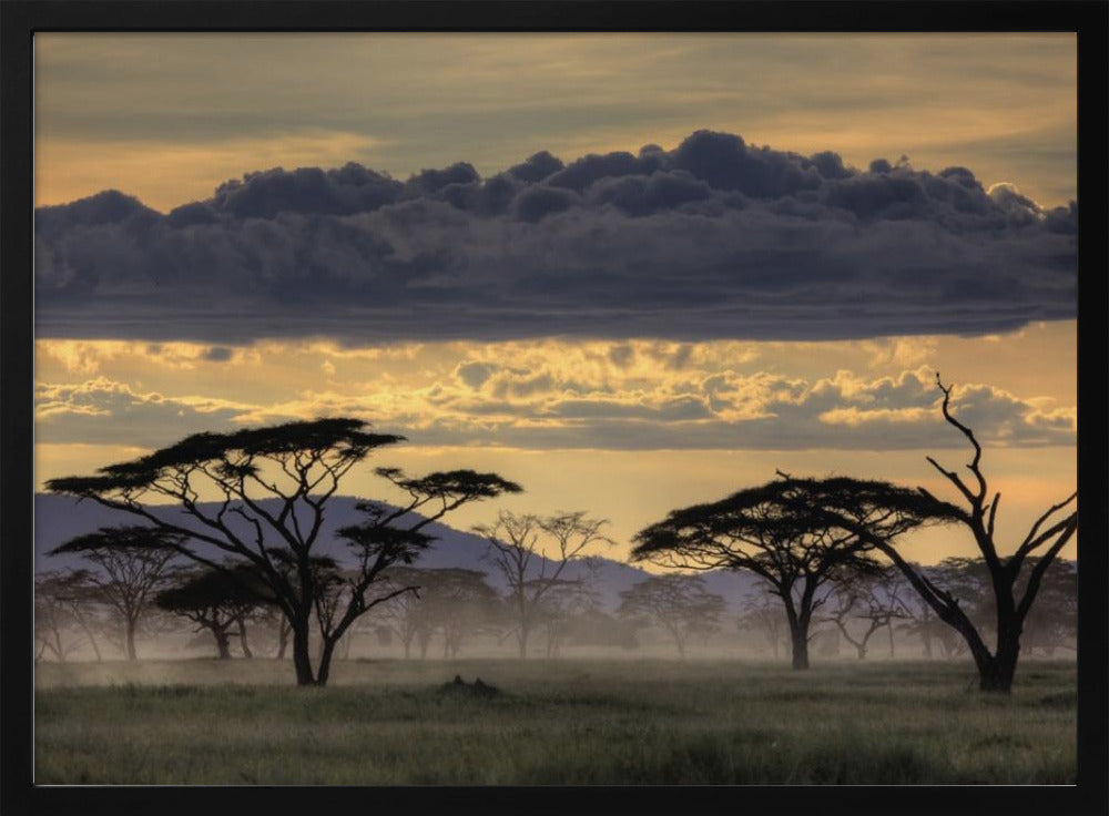 Good evening tanazania | Poster