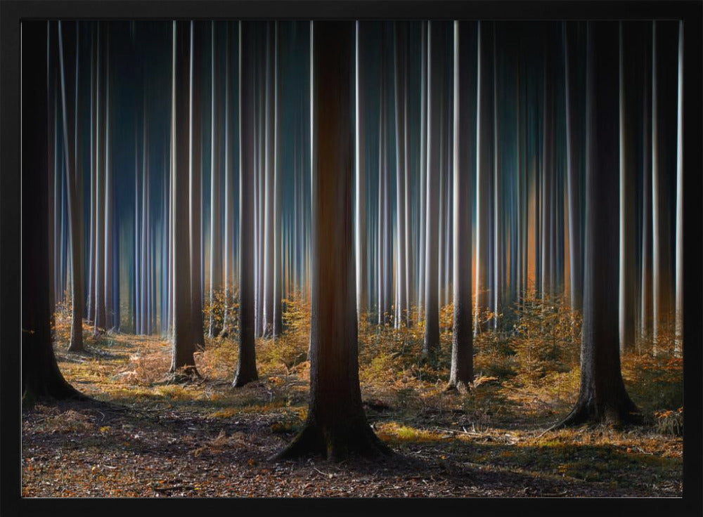 Mystic Wood | Poster