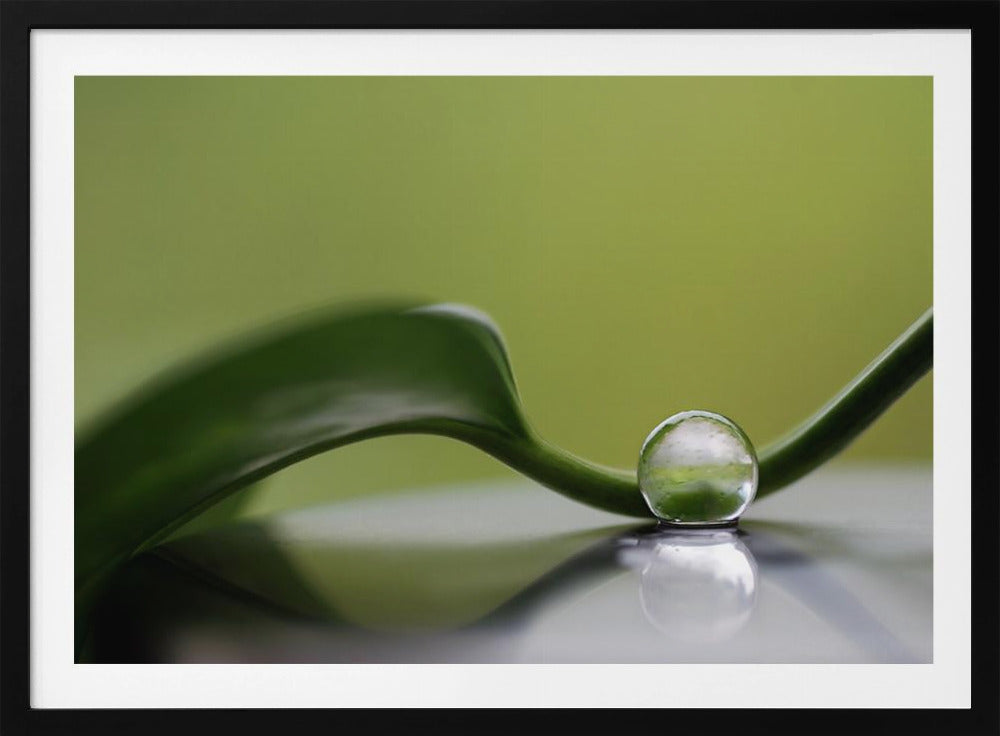 Green harmony | Poster