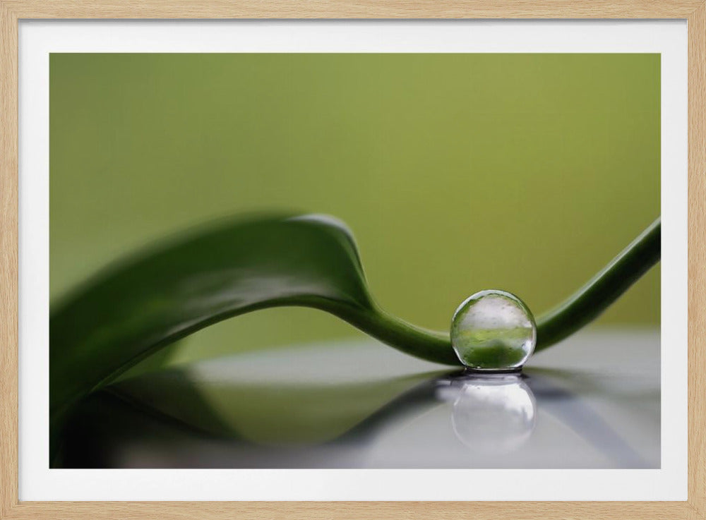 Green harmony | Poster