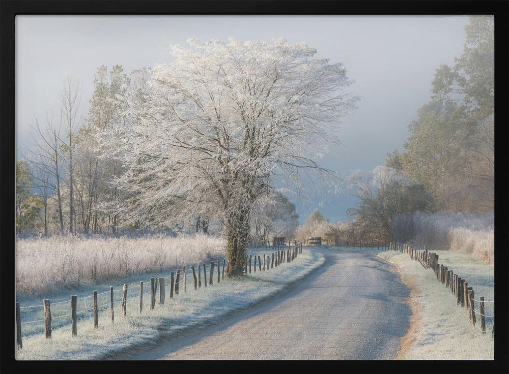 A Frosty Morning | Poster