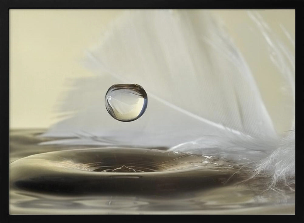 Feathers drop | Poster