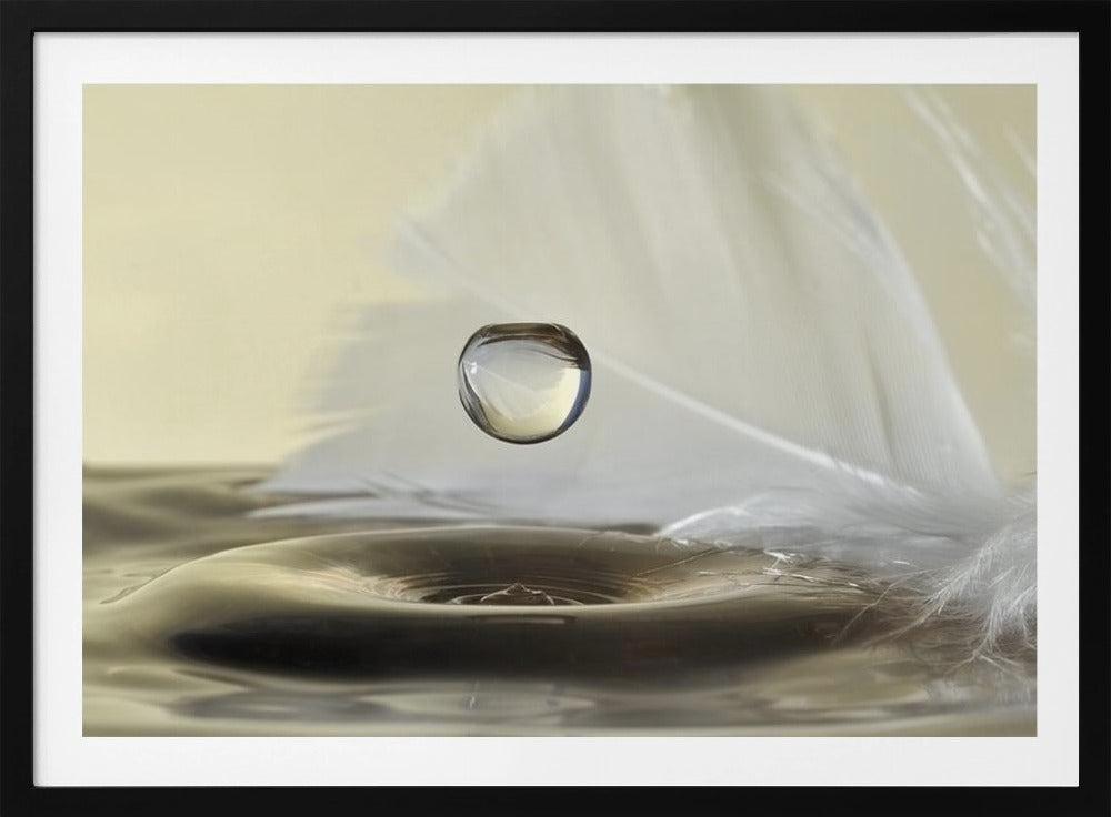 Feathers drop | Poster