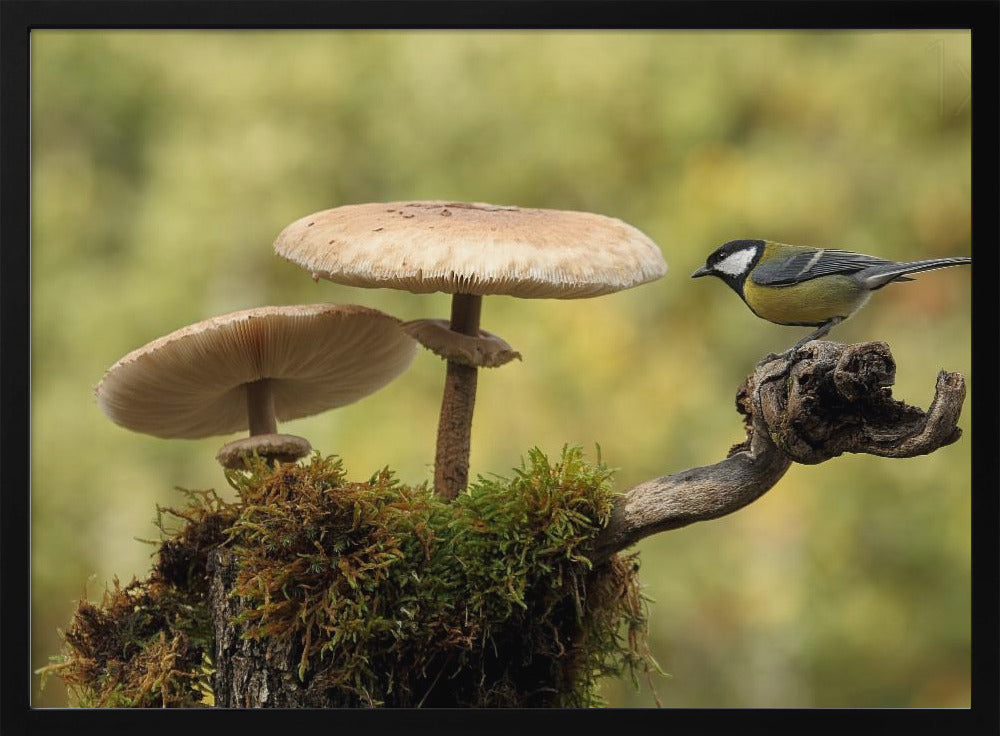 My small part of the world | Poster