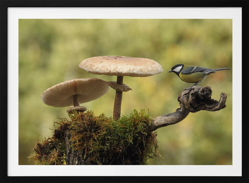 My small part of the world | Poster