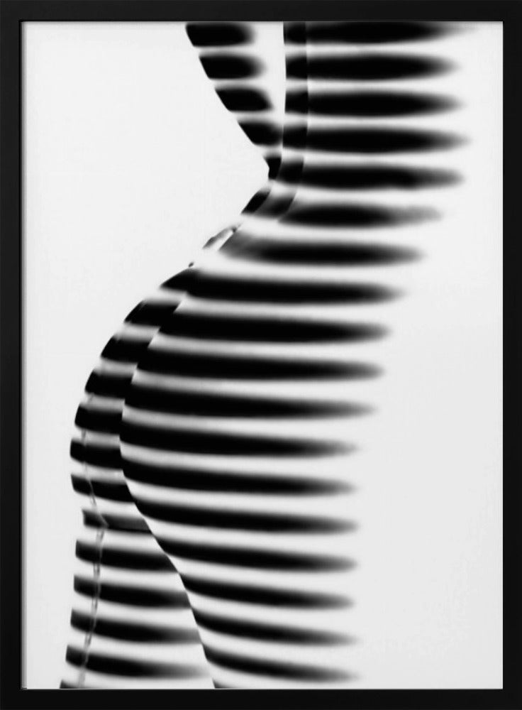 Zebra | Poster