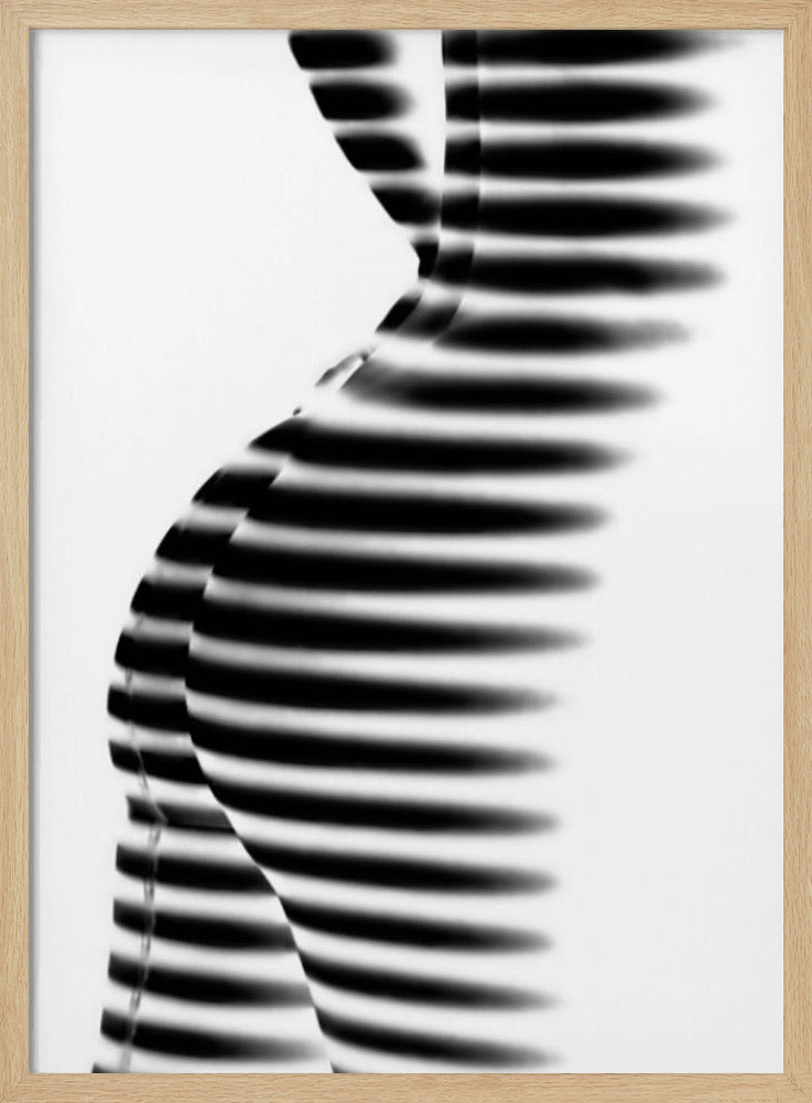 Zebra | Poster