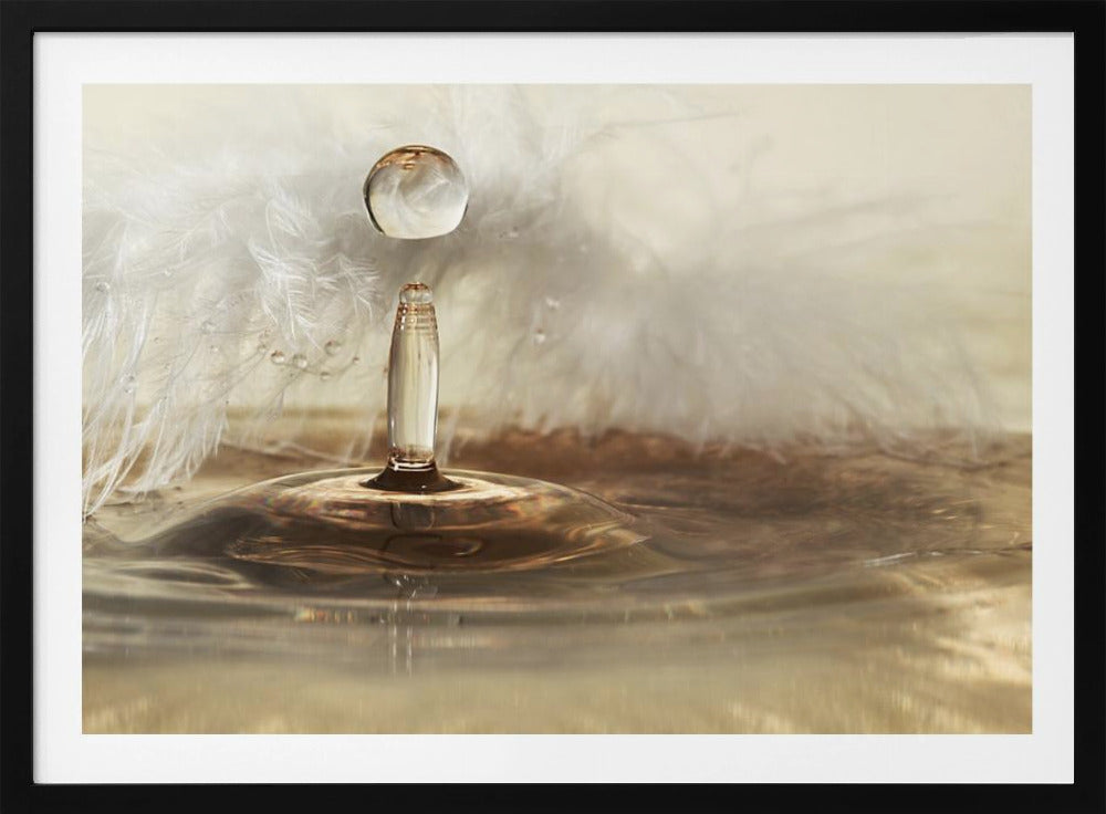 Golden featherdrops | Poster