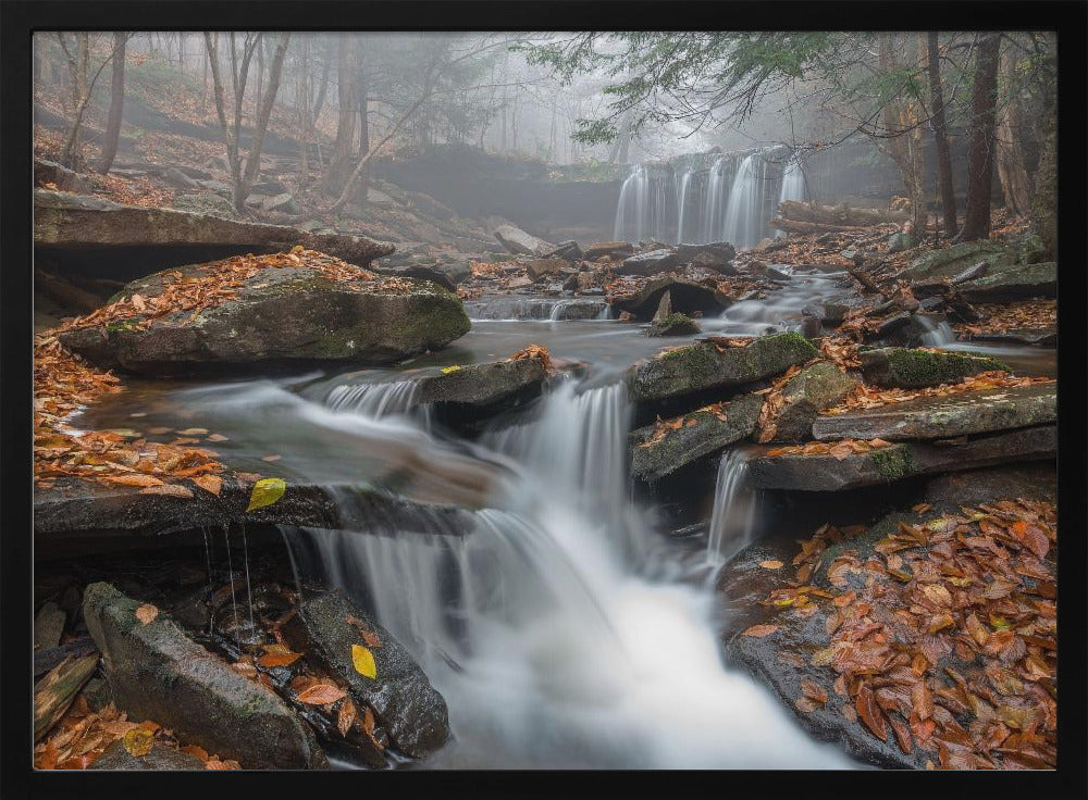 Morning Fog | Poster