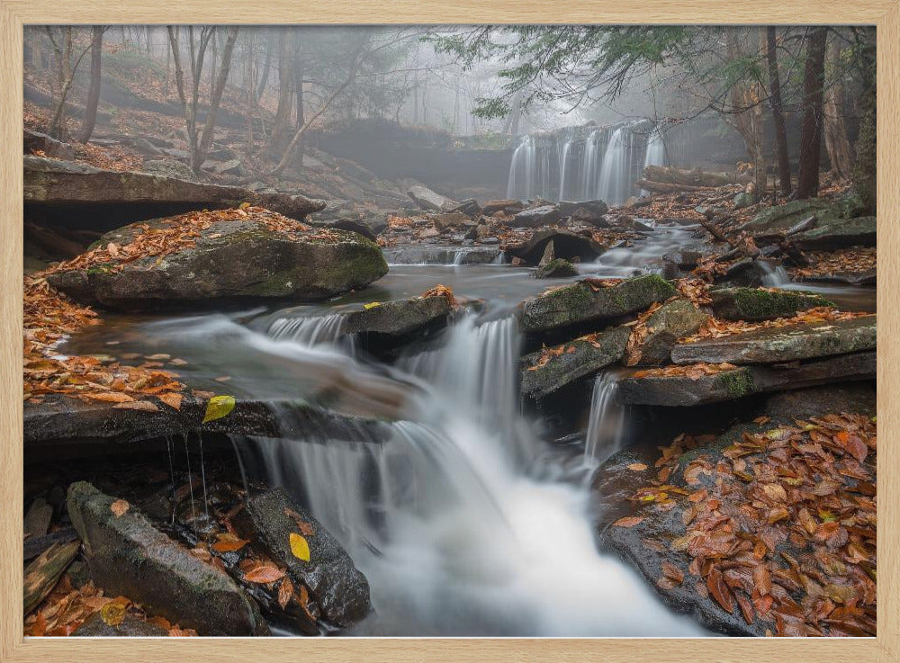 Morning Fog | Poster