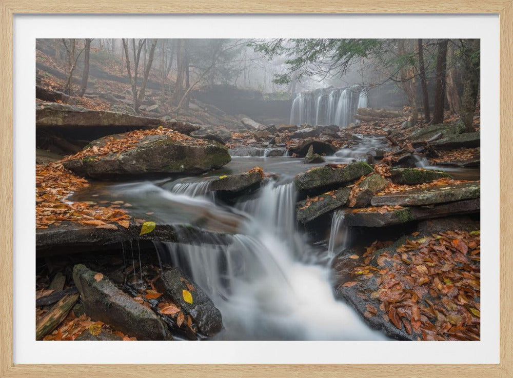 Morning Fog | Poster